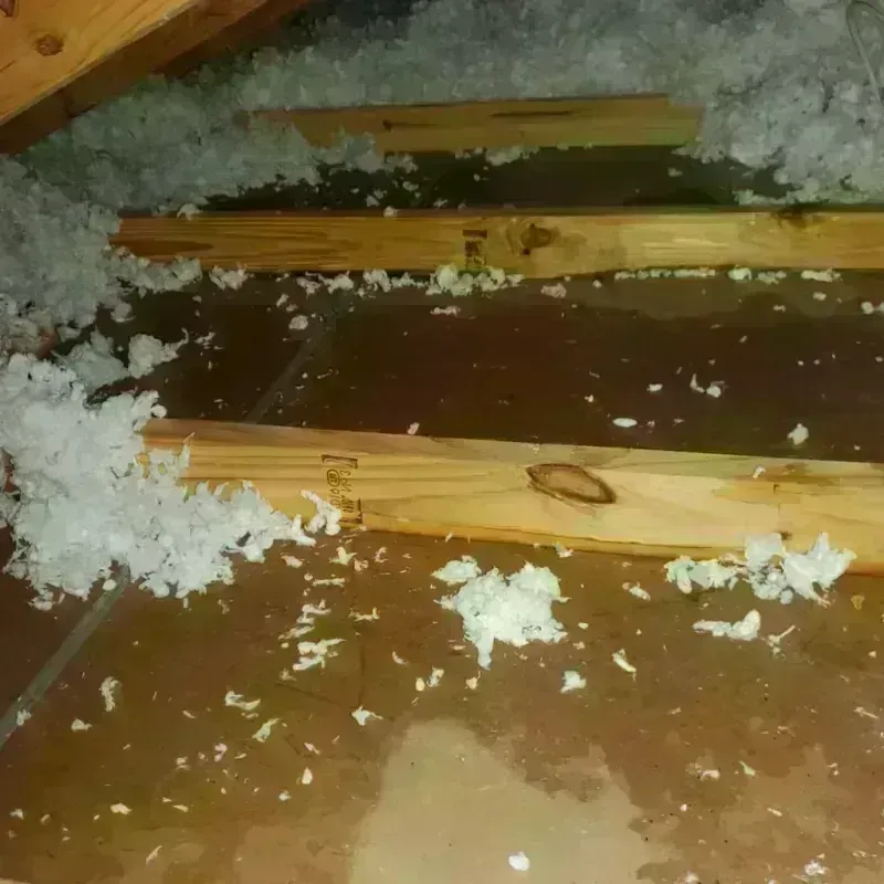 Attic Water Damage in Duchesne County, UT